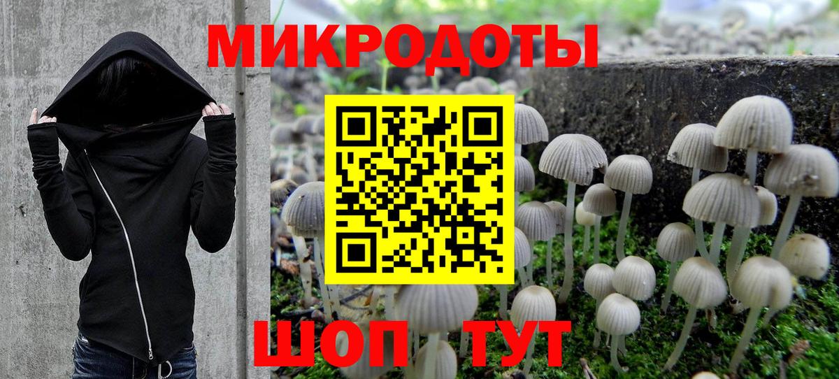 A PVP Дзержинский