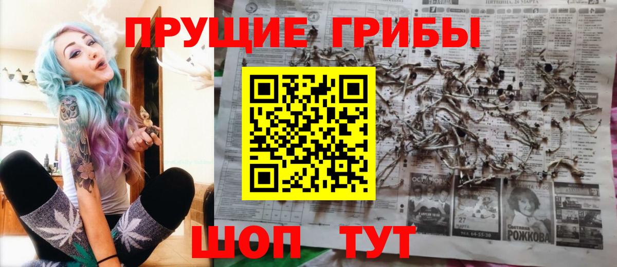Псилоцибиновые грибы MAGIC MUSHROOMS Дзержинский