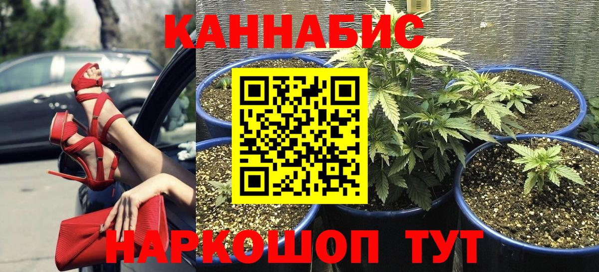 Каннабис SATIVA & INDICA Дзержинский